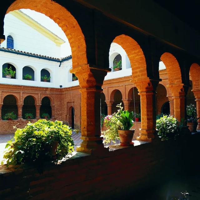 直播预告：四天联播西班牙国家公园系列之多尼亚纳