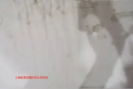 雨季如何应对家里发霉？教你几招防霉除霉的妙招图片