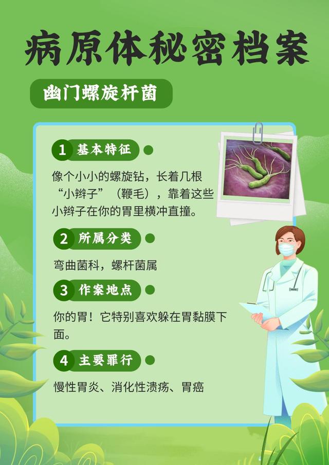 一起照亮更广阔的世界丨北京大学代表队参加国际基因工程机器大赛2025年参赛总结