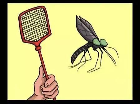 如何让夏天“默默无蚊”的度过