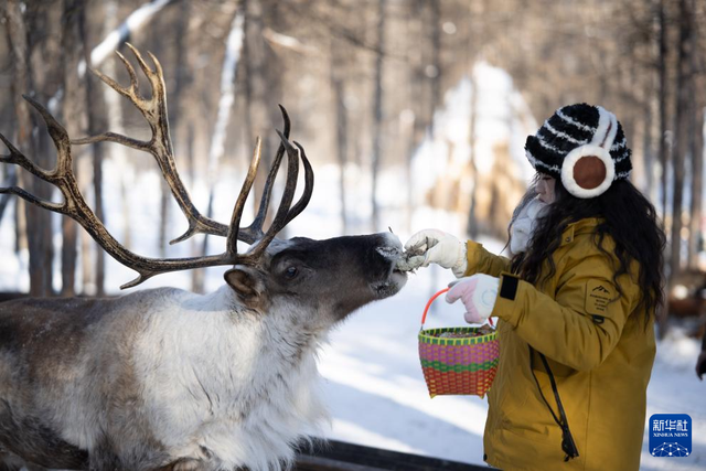 内蒙古根河：壮美的“中国冷极”