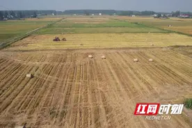 南县：秸秆“绿色”离田 环保又方便图片
