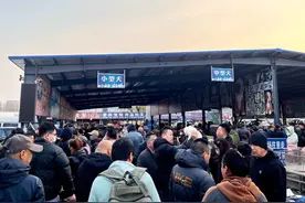 超百万只猫狗，从这个城市卖到全国图片