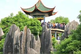 @高考生，6月至8月可免费游云南石林图片