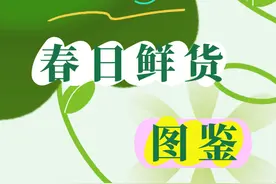乐享春日，这份品鲜图鉴别错过图片