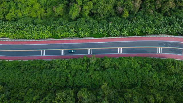 图观白沙 | 跟着赛事游白沙——白沙：自驾雨林公路，解锁国庆“森”呼吸