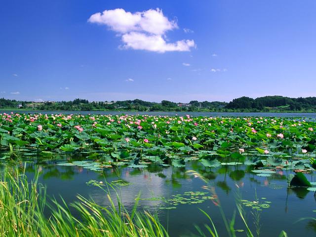 四水映绿 豫见两山安阳｜洹水润善应