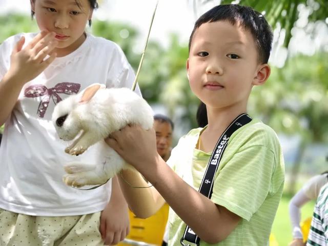 暑假遛娃新姿势！星湖暑期亲子研学盛宴：仙鹤、萌宠、虫趣全解锁～