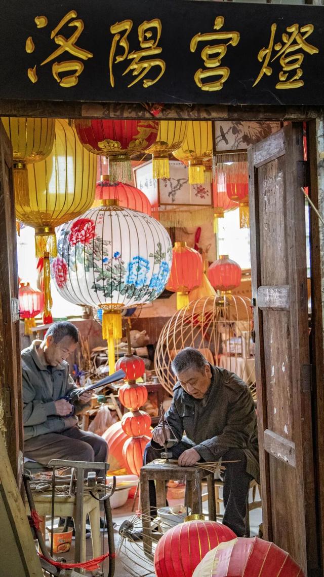 我们，如此热爱洛阳