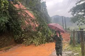 “近30年最强”，台风“摩羯”重创越南，已致三处山体滑坡、59人死亡、11万公顷水稻被淹图片