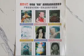 仍无影踪的“梅姨”，到底是否存在？图片