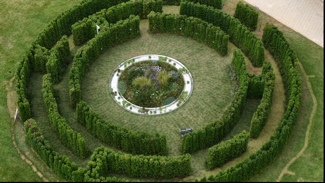 白天赏花、夜晚观灯！第32届广州园林博览会（秋季场）开幕