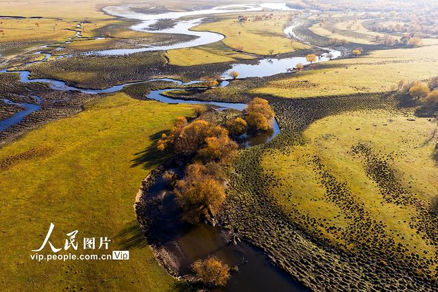 内蒙古呼伦贝尔：额尔古纳湿地层林尽染