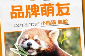北海牧场携手南京红山森林动物园选拔“野生代言人”图片