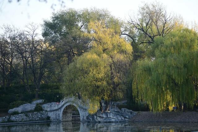 美翻了！邢台达活泉初冬限定“色彩盛宴”