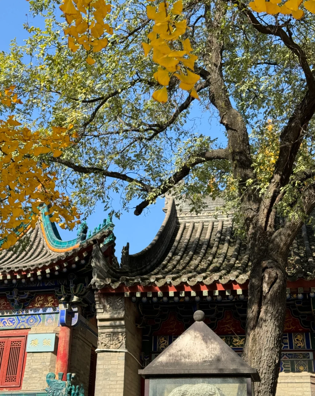 “碑林寻古•建藏千年”研学线路，带你在行走中探秘碑林古建之美