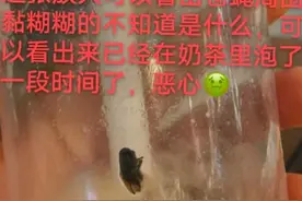 女子称在外卖奶茶中喝到苍蝇 店主回应：不可能 有监控图片