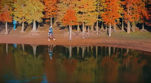 冬日限定！弋阳龟峰百年红杉林正红艳，邂逅一片“火焰童话”