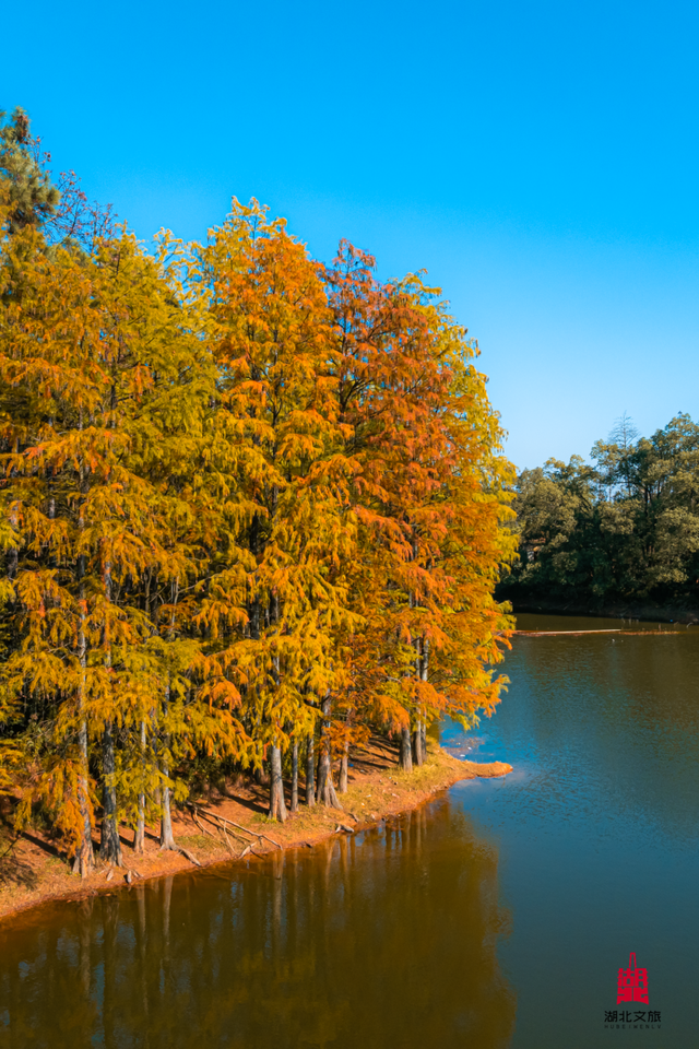抓住晴天尾巴，徒步青龙山！