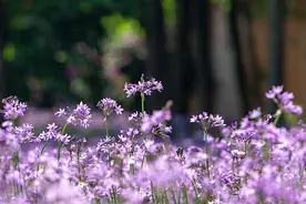 魏振强：两句话图片