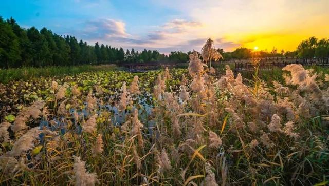 抓紧出发！错过就要等明年！