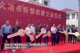 我家住进“绿色新农房”！湖北首个装配式农房小区集中交付图片