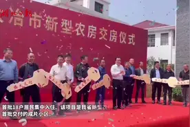 我家住进“绿色新农房”！湖北首个装配式农房小区集中交付图片