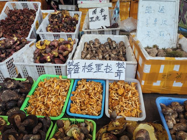 在清凉和菌香中，感受“有一种叫云南的生活”