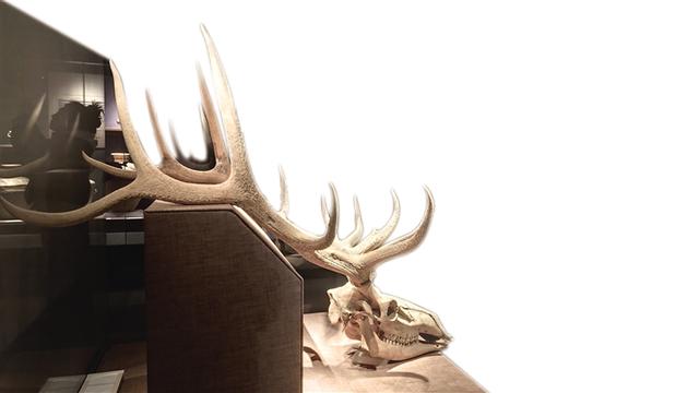 让文物“说话”遗产“生金”资源“灵动” 2025年兰州文旅融合发展成果丰硕