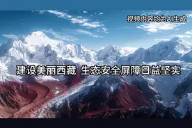 AIGC绘中国｜对口支援西藏工作30年成就回顾图片
