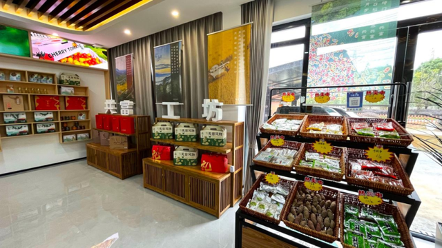 驾游浙江 | 自驾新宠！探秘天目山，这条环山公路美成仙境