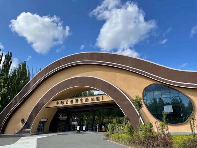 “东天山来的骆驼队”抵达武威啦！你最期待哪一站？