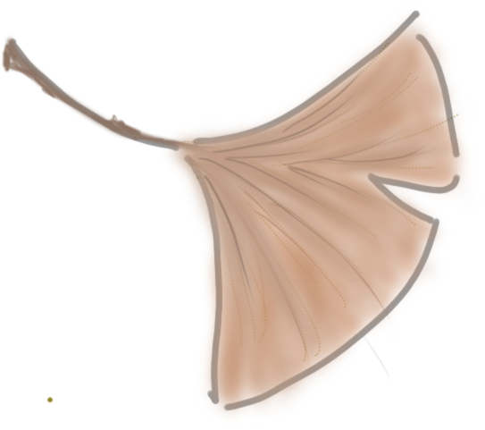 【跟着乐队去旅行·秋意浓】系列活动即将启幕，本周五周六不见不散！