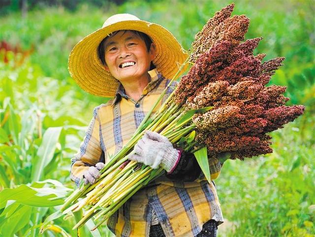 绚丽金秋