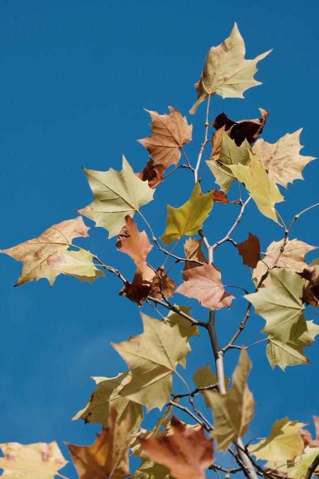 娄底：藏不住的诗意冬景，每帧都美到“心巴”上～