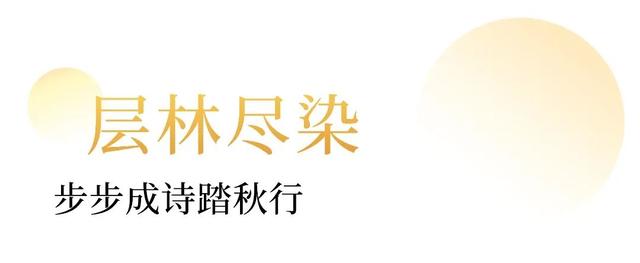 惊艳刷屏！外交部赵立坚微博六连发，热情推荐上饶文旅！