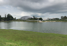 要在新加坡生活，你必须先学会怎么在咖啡店“叫水”