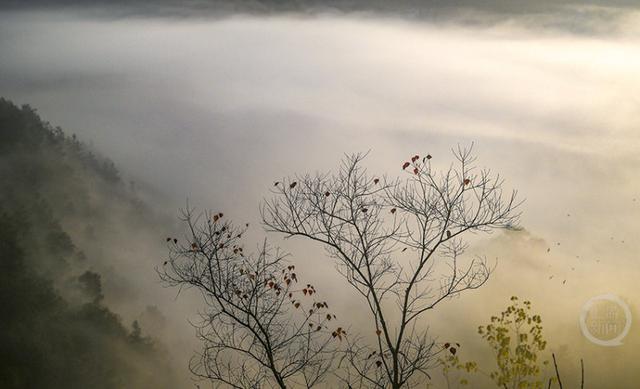 晨雾枫叶红 日出田园美