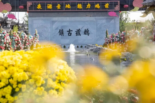 鸠江区国庆中秋“双节”文旅融合绽放新光彩