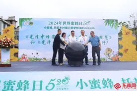 第八届“5·20世界蜜蜂日”主题活动福建分会场在光泽县举行图片