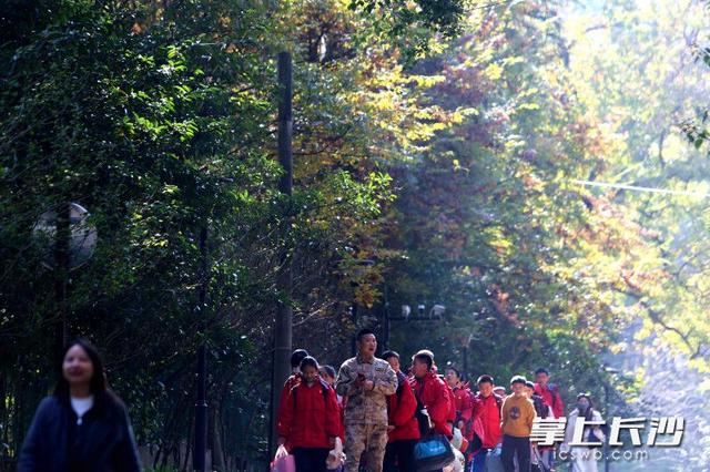 组图｜“小雪”来了，枫叶红了