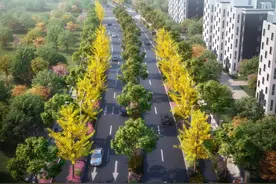 总投资648亿！上海浦东新区一批重大民生项目集中开工图片