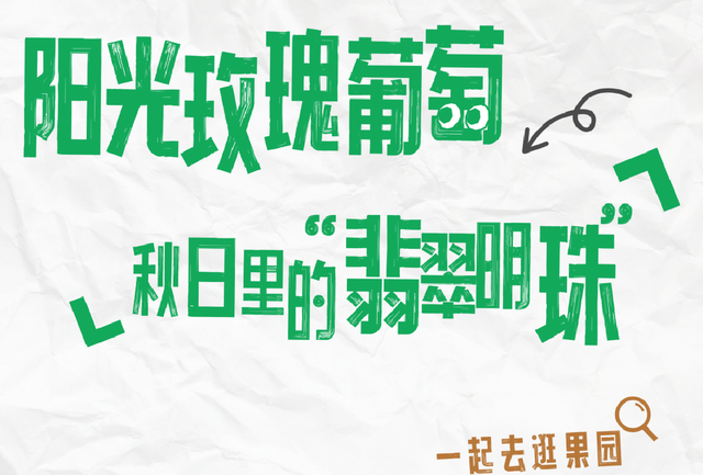 修武初秋采摘 | 葡萄甜、蟠桃香，抓住夏天的尾巴！