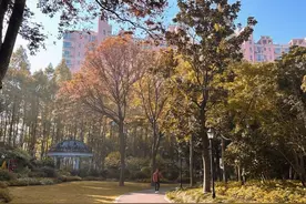 本周前期金山天气回暖，后期气温暴跌→图片