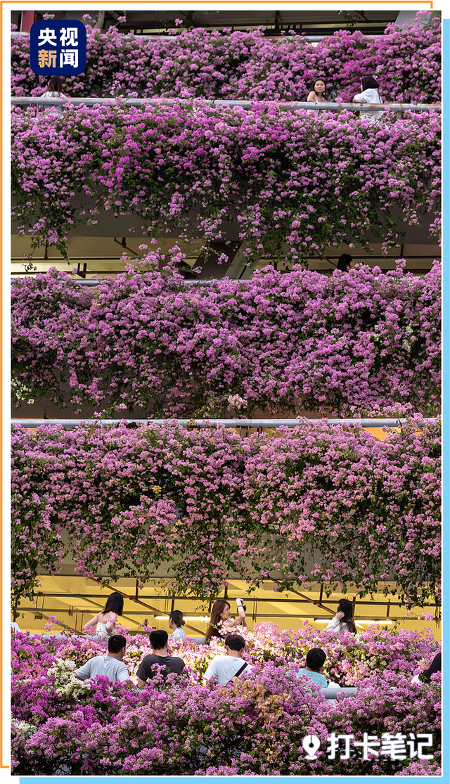 去粤港澳这篇就够了！最新指南→