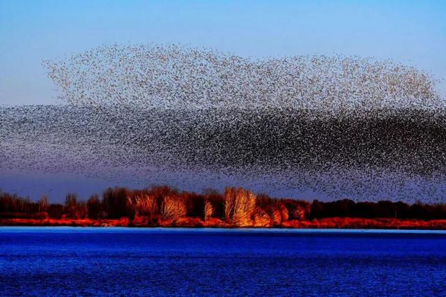 新华社+《国家地理》推荐 快来打卡山东秋景限定款