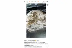 海边旅游捡到稀罕物，网传值800万？业内人士：很像，需鉴定图片