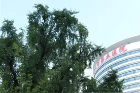 就诊更舒适更便捷！武汉市第五医院启用新门诊大楼图片