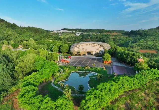 从化石标本到文旅名片，地质遗产活化的“郧阳答案”