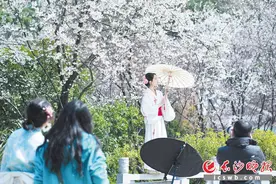 春暖花开，长沙“赏花经济”热了图片